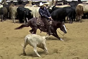 Action photo of cutting horse trainer Gary Gonsalves working a cow