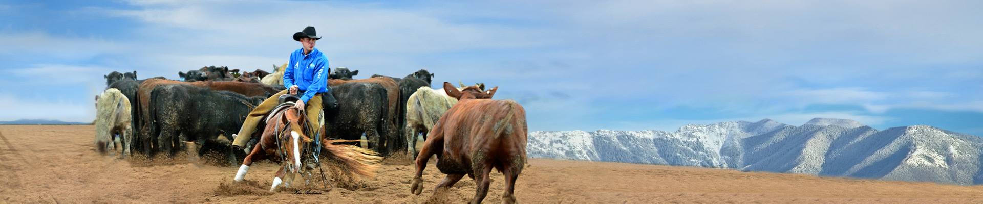 Cutting Horse Training online, picture of cutting horse trainer cutting a cow against an open sky background