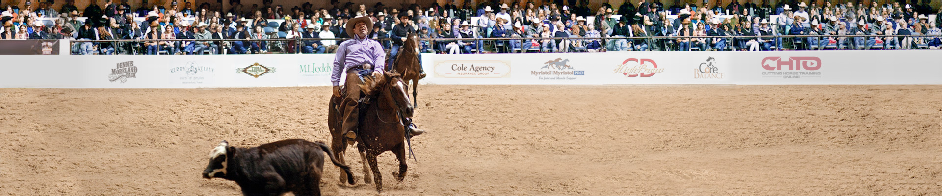 Cutting Horse Training Online showing the cut that got away from Paul Mitchell at NCHA