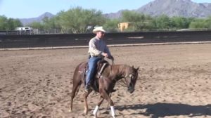 Tarin Rice Cutting Horse Clinic