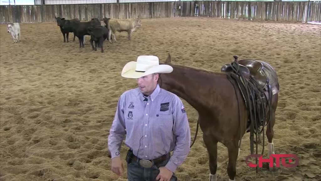 How To Teach A Horse To Spread His Hind Feet With Chris Johnsrud