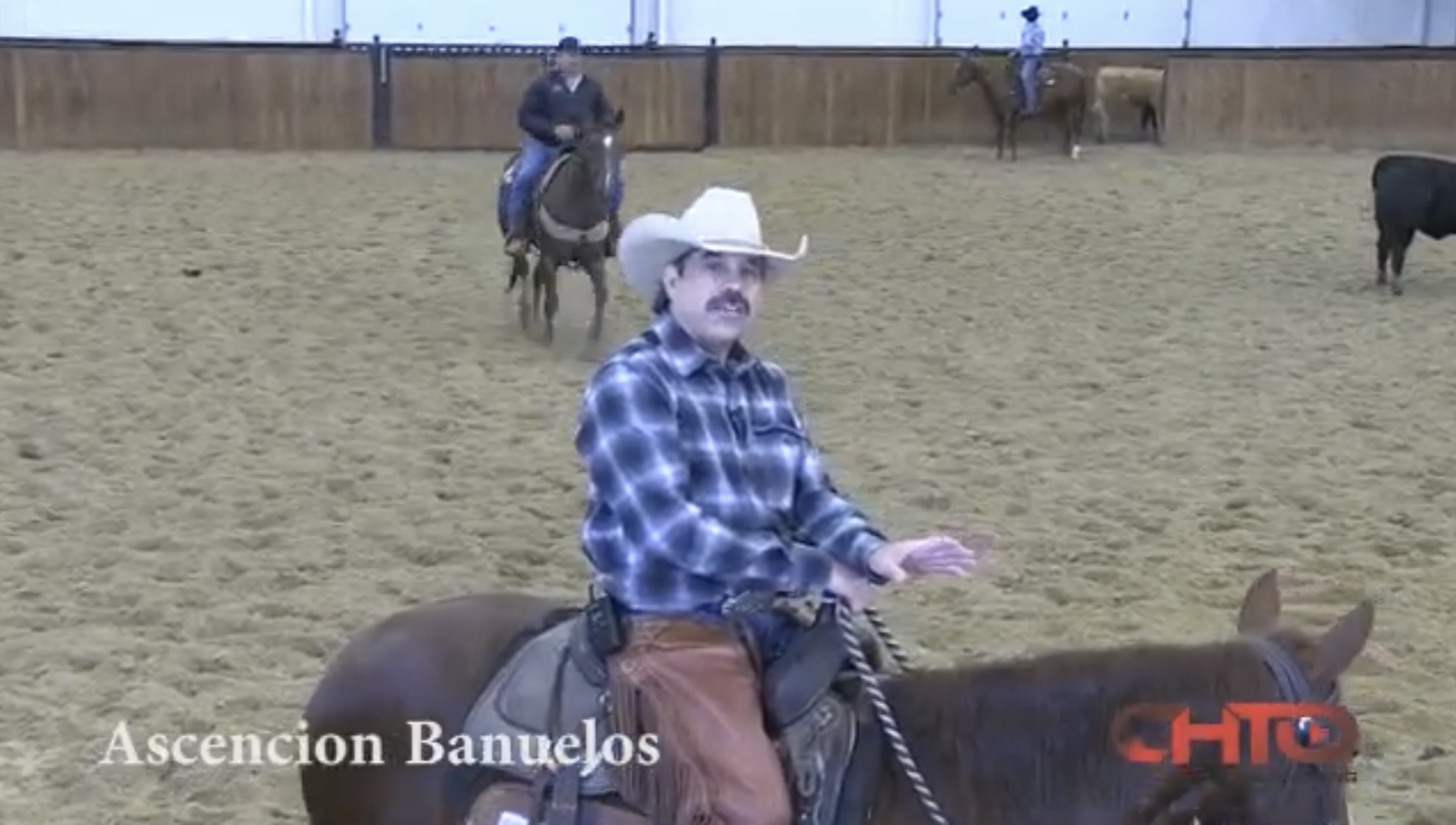 The Long Lasting Impressions of Buster Welch - Cutting Horse Training  Videos, Clinics, Coaching - CHTOLive